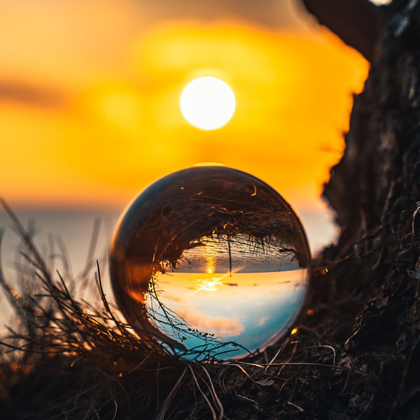 autumn_rising_