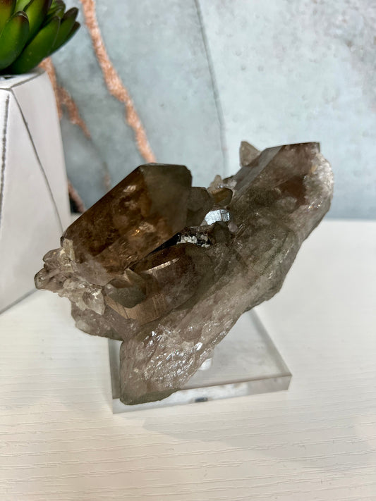 Swiss Smoky Quartz cluster with Chlorite dusting
