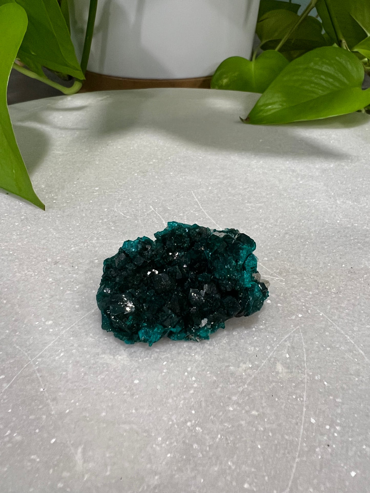 Dioptase cluster