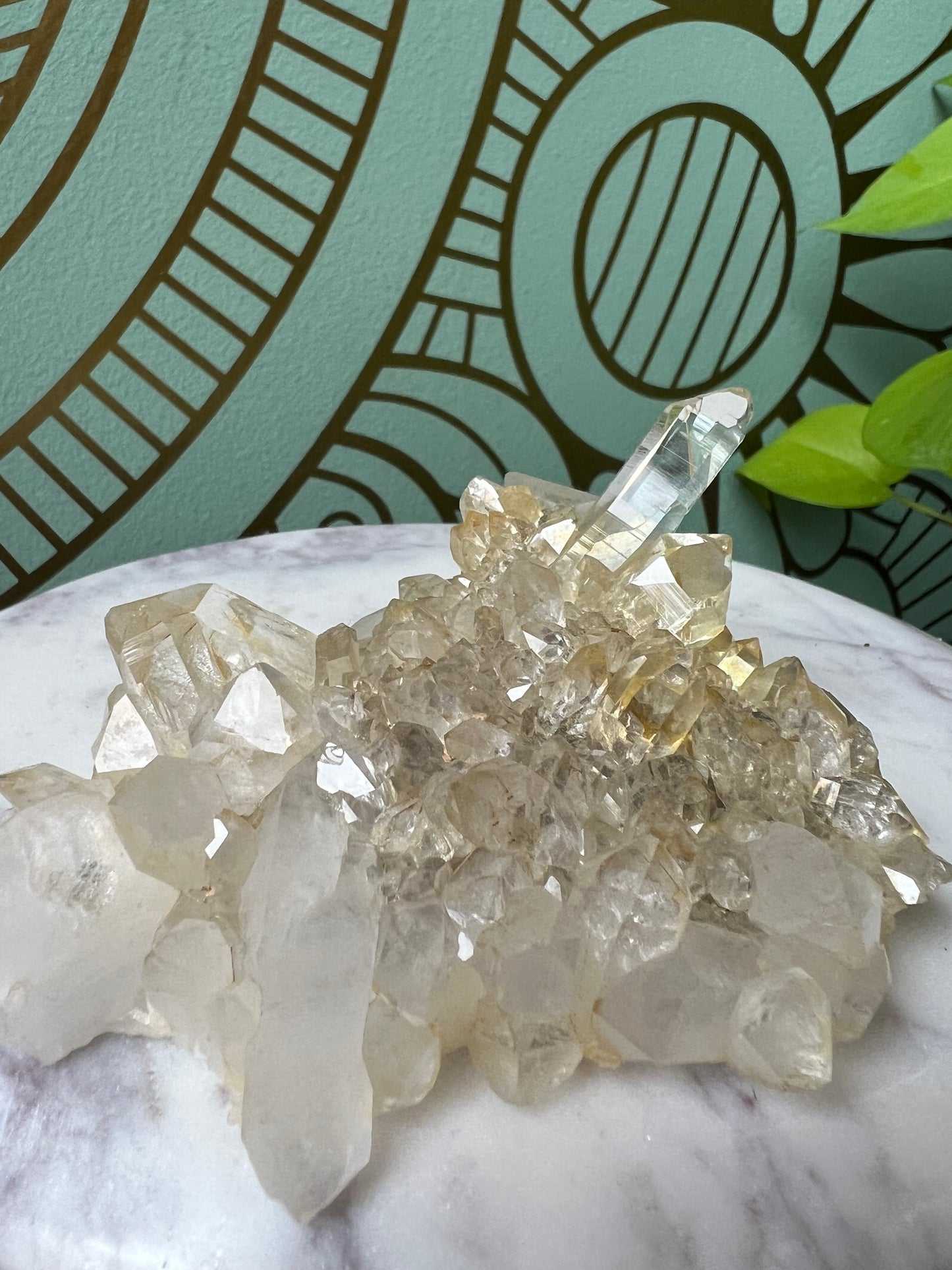 Swiss Quartz Cluster