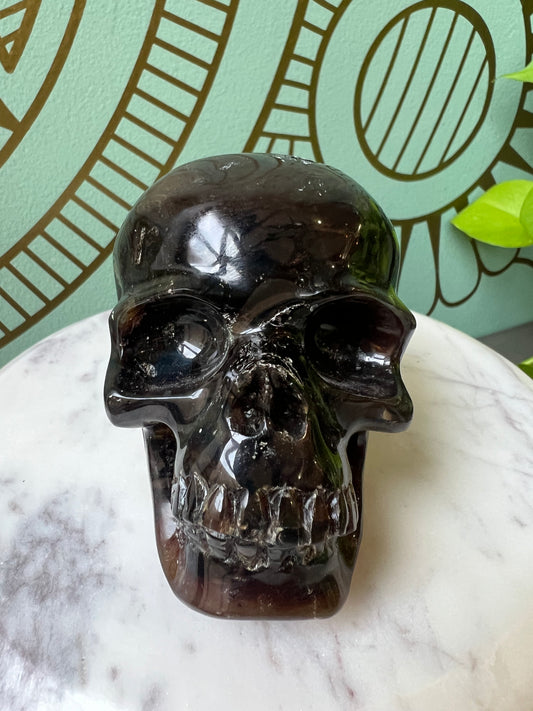 Sumatran Amber Skull