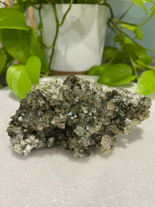 Forest Quartz / Quartz with Epidote