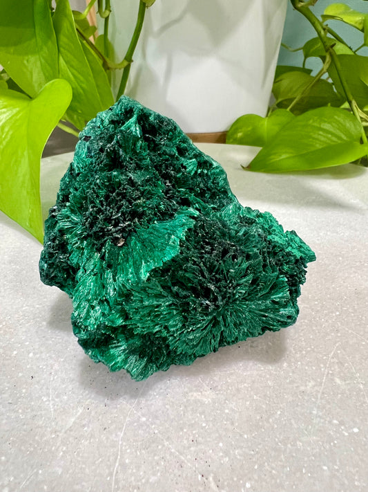 Fibrous Malachite