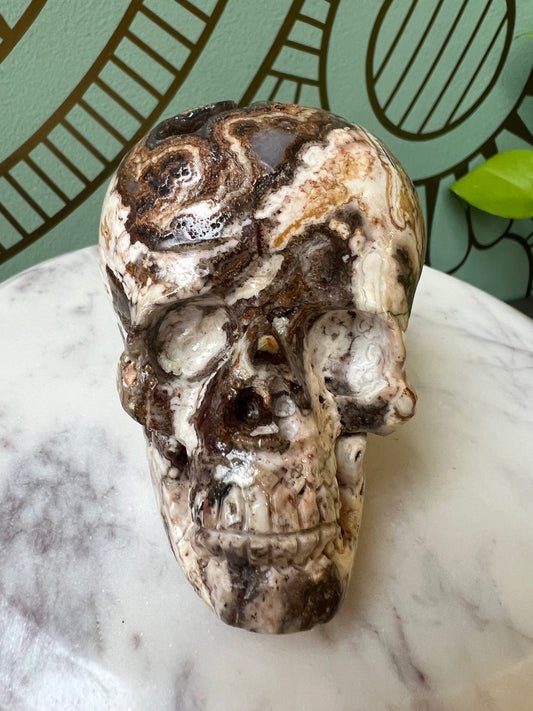 Verde Valley Chalcedony Skull