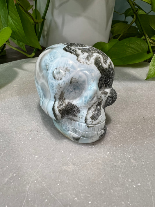 Larimar Skull