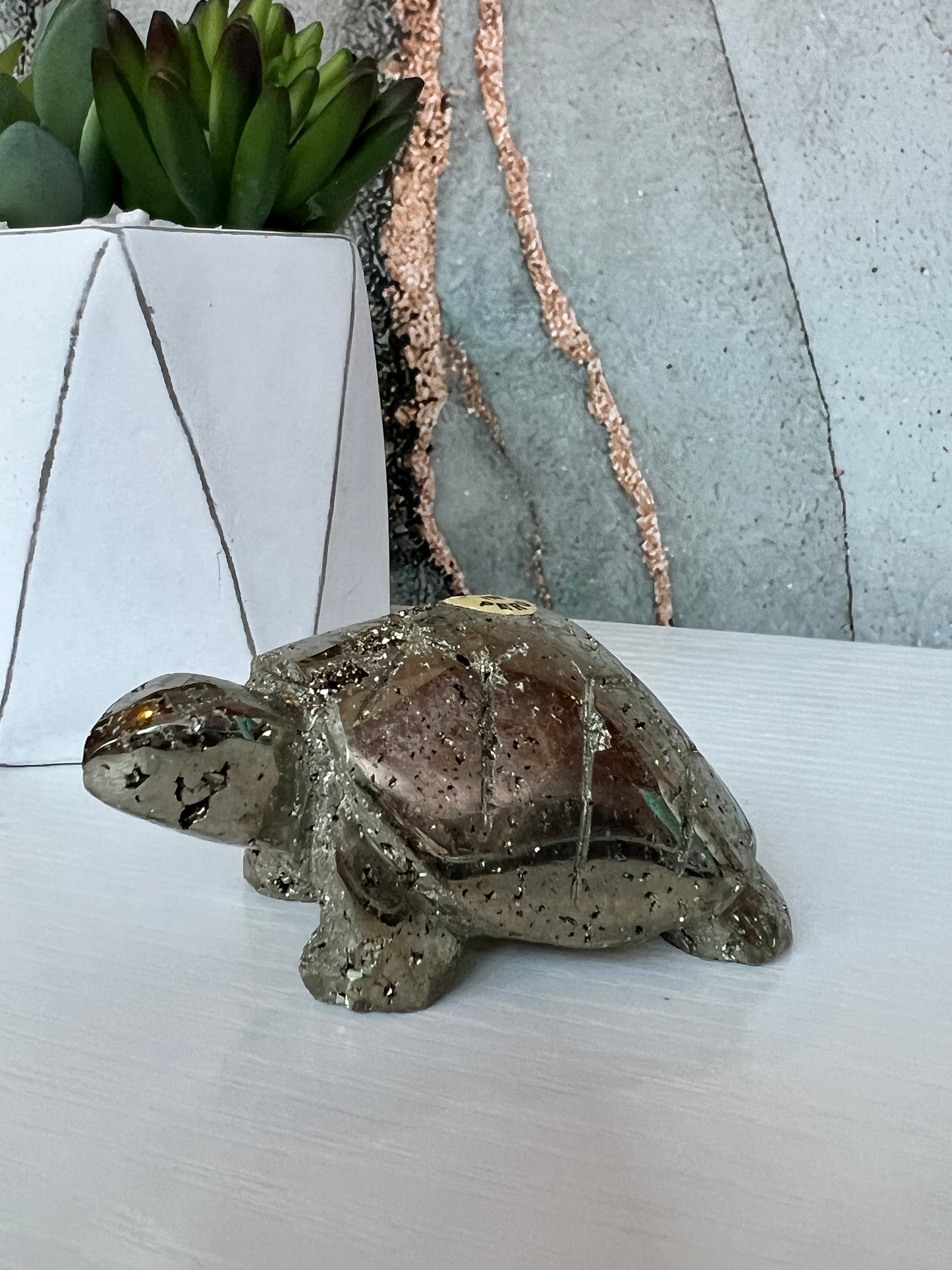 Cocada Pyrite Turtle